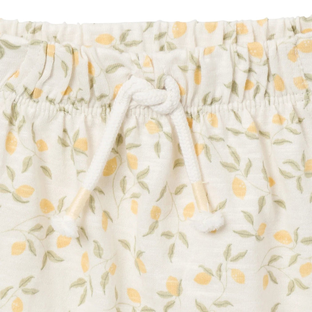 LUMÉA™ Sweet Peplum Baby Girl Top and Short Sets 4 - Piece (0 - 24M) - Lumea Baby