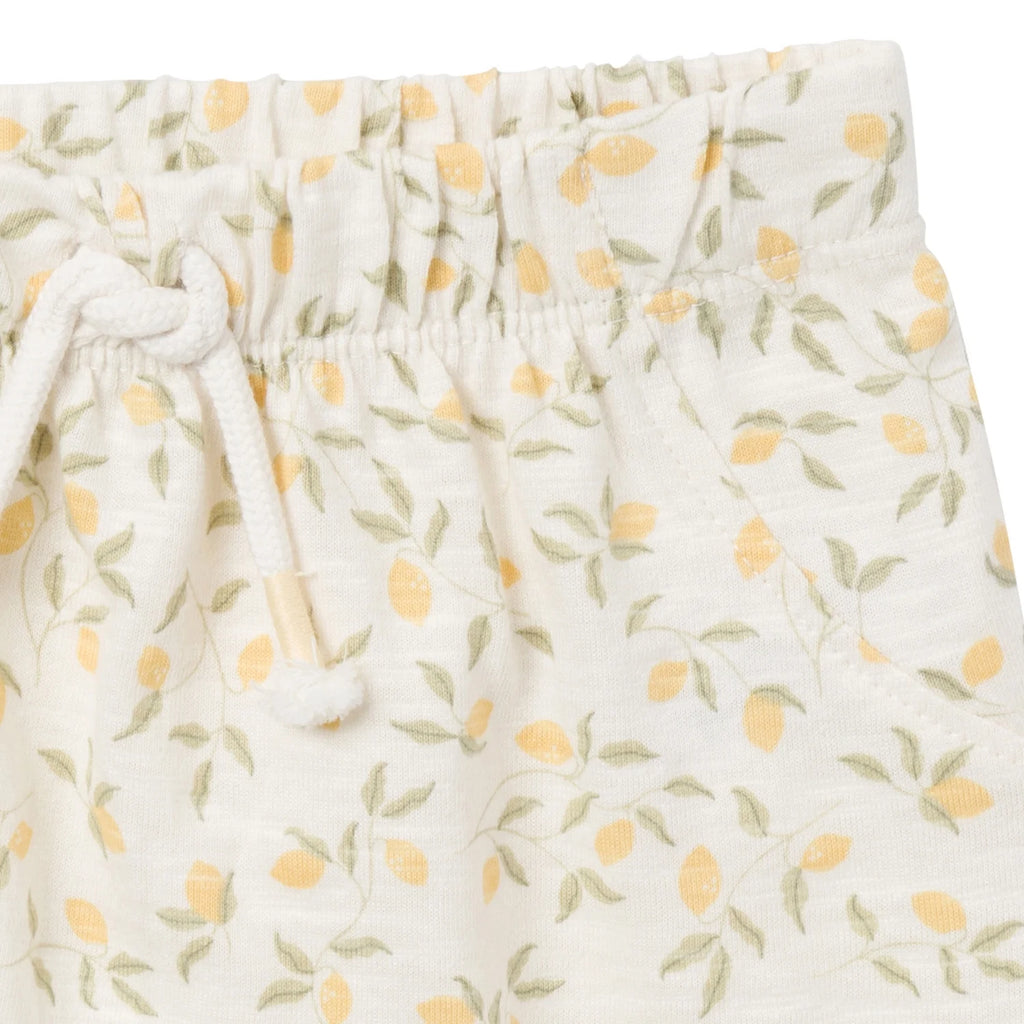 LUMÉA™ Sweet Peplum Baby Girl Top and Short Sets 4 - Piece (0 - 24M) - Lumea Baby